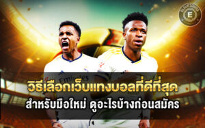 วิธีเลือกเว็บแทงบอลที่ดีที่สุดสำหรับมือใหม่ ดูอะไรบ้างก่อนสมัคร?